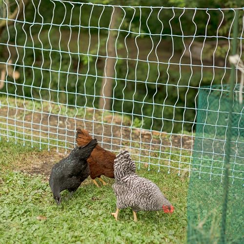 42" x 82' Electric Poultry Netting | Double Spiked Fiberglass Posts | Electric Fencing for Chickens in Backyards, Homesteads, Farms, and Ranches