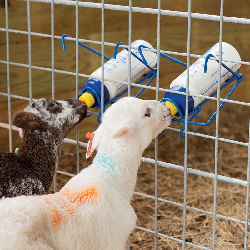 Premier 1 Lamb 'N' Goat Kid Wide-Mouth Bottle Kit – Pritchard Teat & Rack | Includes Pritchard teat & bottle rack. Wide mouth for easy cleaning & filling. For orphan lambs & goat kids. - style: Bottle, Pritchard Teat & Bottle Rack