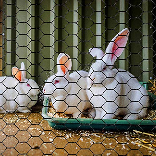 PVC Hexagonal Poultry Netting Chicken Wire 36" x50' x 1" Mesh 20GA Black
