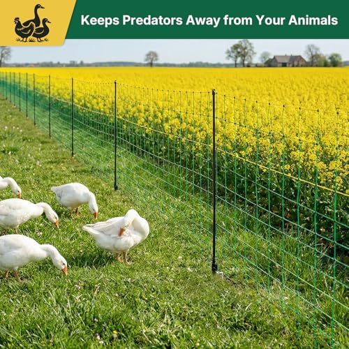 Electric Poultry Netting 41.5" H x 164' L, Portable Electric Chicken Fence for Chickens, Ducks, Geese & Turkey, Anti-Predator Poultry Net Fencing with Double Spike Posts for Backyard, Farm & Homestead - size: 41.5" H x 164' L Poultry