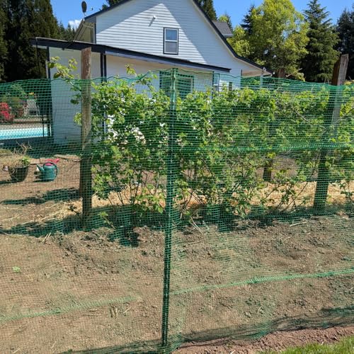 Deer Fence Netting 5x100 FT, Heavy Duty Plastic Mesh Fence Roll | 1/2" Temporary Animal Barrier Fencing For Deer, Birds, Chicken, Poultry, Fruit Trees, Construction & Garden Protection, Green - size: 5x100 FT
