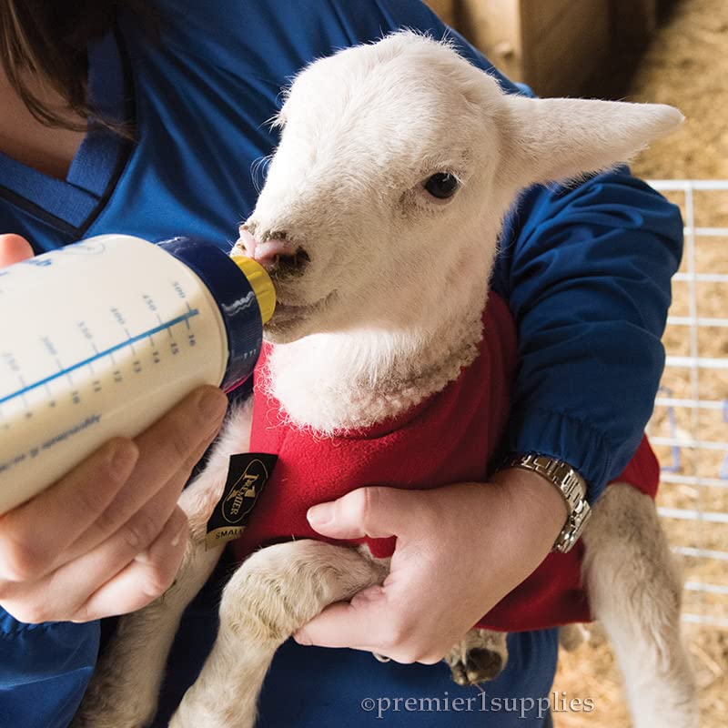 Premier 1 Lamb 'N' Goat Kid Wide-Mouth Feeding Bottle (Bottle Only) | Wide-mouth design for easy cleaning & filling. Plastic construction. For orphan lambs & goat kids. Teat sold separately. - style: Bottle Only