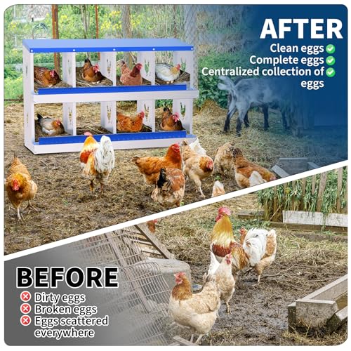 TrailBlaze Ventilated Galvanized Metal Chicken Nesting Box - 8 Compartments, Roll Away Egg Collection System, Rustproof, Easy to Install, Perch & Cover - Blue, 8 Compartments, Without Bracket - color: Blue, size: 8 Holes