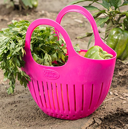 Hutzler Mini Garden Colander Garden Basket, Small, Pink - color: Pink, size: Small