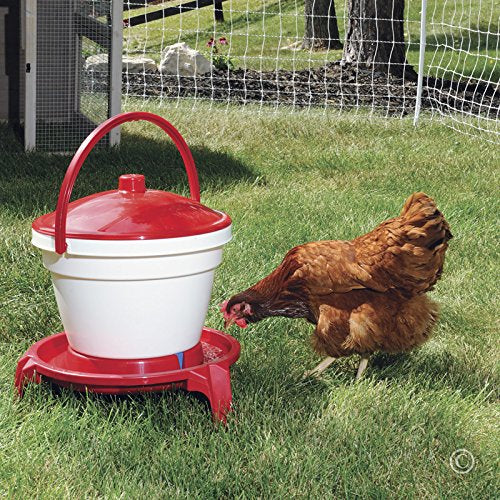 Premier 1 Quick Clean Poultry Waterer for Chickens & Poultry - 3 Gallon | Remove lid to refill. Legs elevate waterer 5" above bedding. Up to 35 adult birds. Level surface required. Not for hanging.