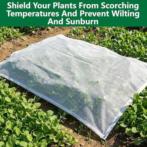 6.6 x 3.3 Ft Plant Sun Shade Cloth, 60% Shading White Sun Protection Net | Tear Resistant Garden Sunshade Cloth Cover with Reinforced Grommets for Protecting Plants from Direct Sunlight - color: 1x2m
