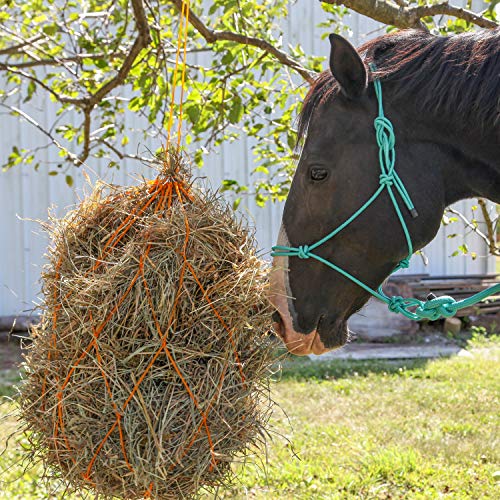 Majestic Ally 1/4" Rope 4 Knot Stiff Polyester Training Halter with 10’ Matching Lead Rope for Horses – Full (Red, Full) - color: Red, size: Full