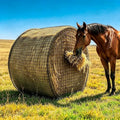 5x5ft Bolded Hay Net for Horses – Heavy-Duty Slow Feeder | Knotless 2-Inch Mesh Slows Intake, Slashes Hay Waste – Great For Barns, Farms & Home