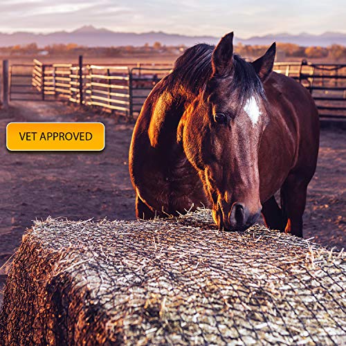 Texas Haynet - Round Bale Hay Net Slow Feed - Durable Round Bale Feeder for Horses - American Made UV Resistant Nylon Net - Fits Round Bales 4x6-6x6 or Square Bales 3x3x8-4x4x8 with 1.75" Holes - size: 1 Pack