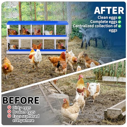 Chicken Nesting Box, 10-Hole Nesting Boxes, Removable Tray, Ventilation Holes, Easy Egg Collection & Cleaning, Laying Boxes for Hens, Blue