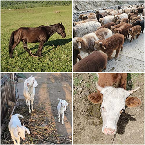 31.5'' Horse Hay Feeder 24 Gallon | Long Livestock Hay Feeder, Carbon Steel Wall Mounted Hay Rack for Horses, Sheep, Goats, Indoor Outdoor Uses - size: 31.5INCH