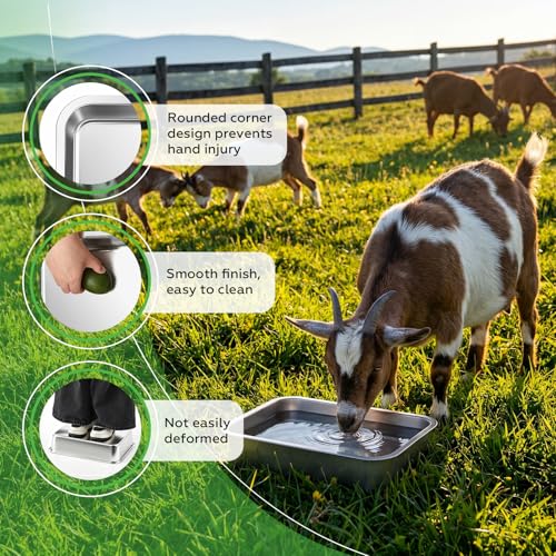 Sadnyy 4 Pcs 16 Qt/ 4 Gallon Stainless Steel Feeder Pan Bulk High Capacity Metal Horse Food and Water Bowls Heavy Duty Horse Trough Feeder for Goats Horses Livestock Animal Feeding
