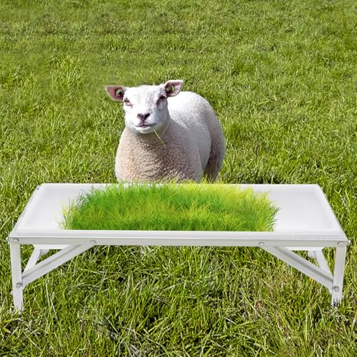 Livestock Feed Trough with Metal Stand 39" Long Large Capacity Livestock Feeder for Lambs Foals Calves Sheep Horses Alpacas and Goats in Farm (Silver+White) - color: Silver+White