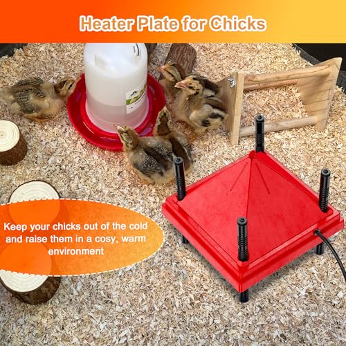 Chick Brooder Heater with Anti-Roost Cone & Constant Temp Red 10" x 10" | Height-adjustable brooder plate for Raising Chicks - size: 10" x 10" with Constant Temperature