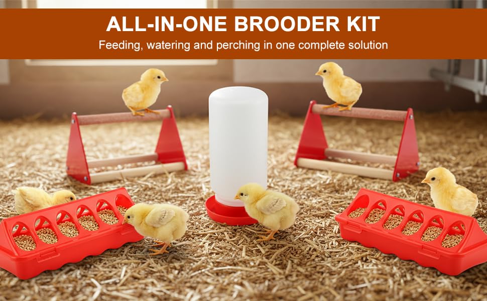Chick Feeder and Waterer Kit with 2 Chick Perch Roost Bars | Flip Top Poultry Feeder, Chick Brooder Starter Kit, Baby Chicken Supplies for Chicks, Duck and Quail