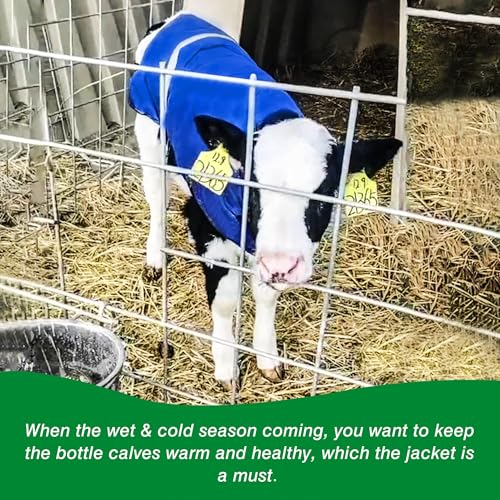 2pcs All-Weather Calf Blanket with Fleece Lining & Windproof Shell - Versatile Goat Blankets for Winter and Durable Sheep Blanket with Full Belly Coverage (Blue 2pcs) - color: Blue