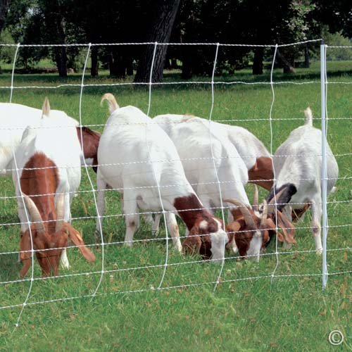 Premier 1 ElectroStop® Double Spike Fence – Sheep & Goats – 42"H x 164'L | White/black. Double spike posts for stability. 10x more conductive. Also for cattle & hogs. Energizer sold separately.