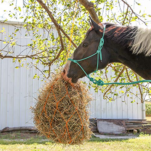 Majestic Ally 1/4" Rope 4 Knot Stiff Polyester Training Halter with 10’ Matching Lead Rope for Horses – Full (Black, Full) - color: Black, size: Full
