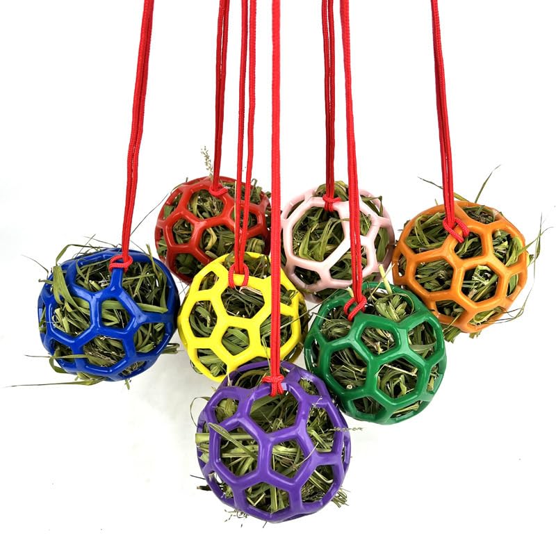 Horse Hay Feeder Ball with Rope, Durable Plastic Slow Feeding Ball for Horses, Equine Chew & Foraging Enrichment, Ideal for Hens Coop Goose Duck Large Birds (Blue)