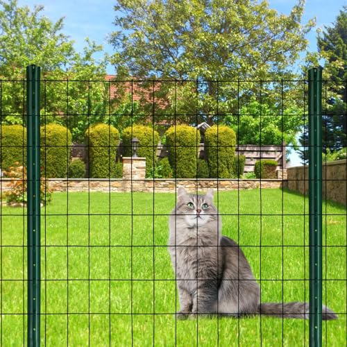 Black PVC Coated Welded Wire Mesh Garden Economy Fence 36 Inch x 25 Foot-3 Inch x 2 Inch 16GA - color: Black, size: 36"x25\'-3"x2" 16GA