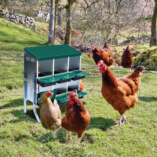 Chicken Nesting Box, 6 Hole 2 Layer Hen Nest Boxes with Legs, Roll Away Eggs Laying Boxes,Cleanable Pull Out Hen Roosting Boxes - size: Green- 6 compartment with legs
