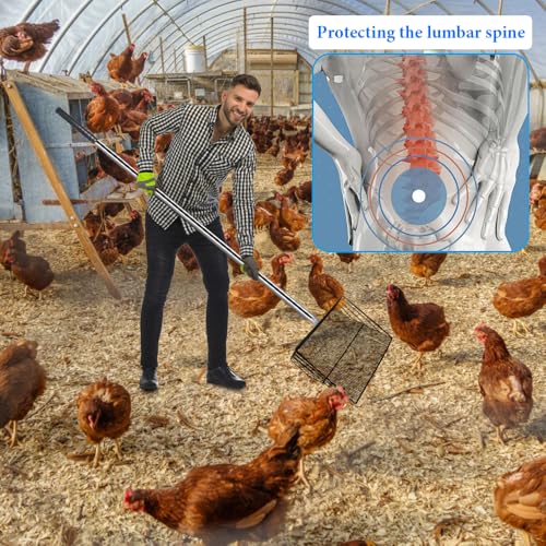 Kalekey Heavy Duty Chicken Poop Scooper, 15 Inch Extra Large Chicken Coop Rake with Adjustable Stainless Steel Handle (25 to 73 Inch) for Chicken Coop & Farm Cleaning Tools