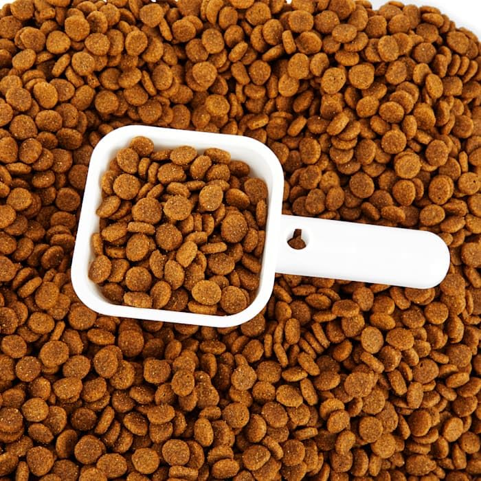 EveryYay by Petco Serve & Preserve Food Storage 35 lbs. - size: Medium