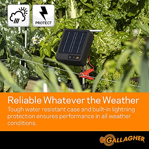 Gallagher S6 Solar Fence Charger with Digital Volt Meter | Solar-Powered Energizer for Gardens, Poultry & Livestock | Includes Digital Fence Tester to Monitor Voltage