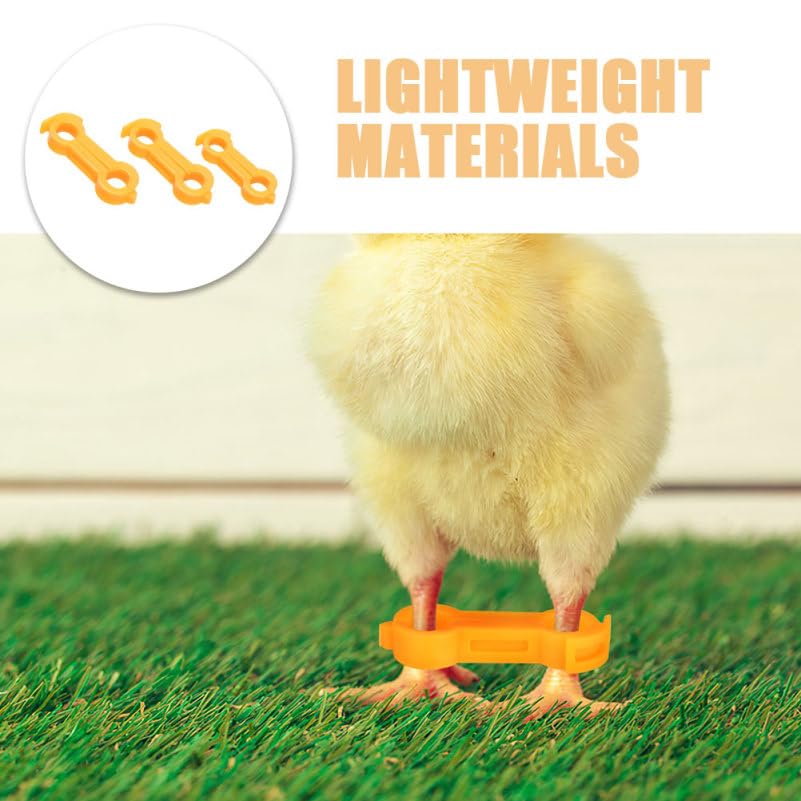 9pcs Foot Orthosis for Chickens Quails Parrots Bird Leg Ring Arch Support