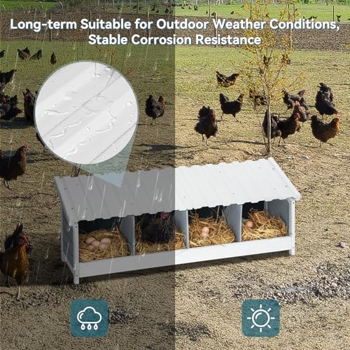 PETSFIT 4 Holes Chicken Nesting Box, PVC Waterproof Roof, Privacy Cover | Wall Mounted or Floor Use, Natural Fir Wood, Easy to Assemble and Clean, For Backyard Coops and Farms, Fits Standard Hens - size: 4 Holes