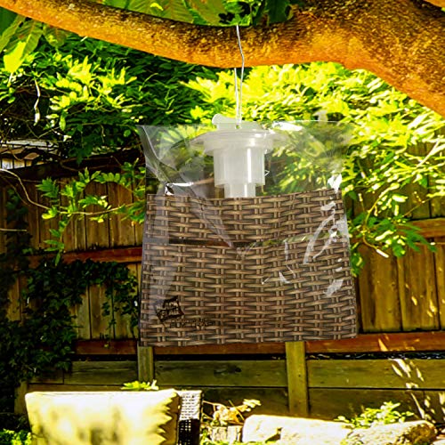 Black Flag Disposable Fly Trap, Attracts All Major Fly Species (Pack of 12) - size: 12 Pack