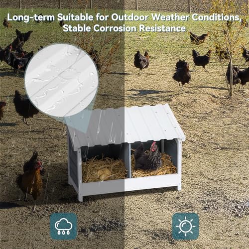 PETSFIT 2 Holes Chicken Nesting Box, PVC Waterproof Roof, Privacy Cover | Wall Mounted or Floor Use, Natural Fir Wood, Easy to Assemble and Clean, For Backyard Coops and Farms, Fits Standard Hens - size: 2 Holes