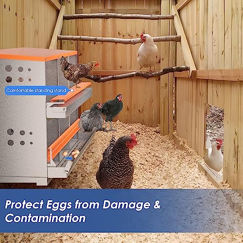 Chicken Nesting Box, 6 Compartment Metal Nesting Boxes for Chickens Laying Eggs, Rust Proofed Nest Box with Roll Away Egg Collection Laying Box for Chicken Coop