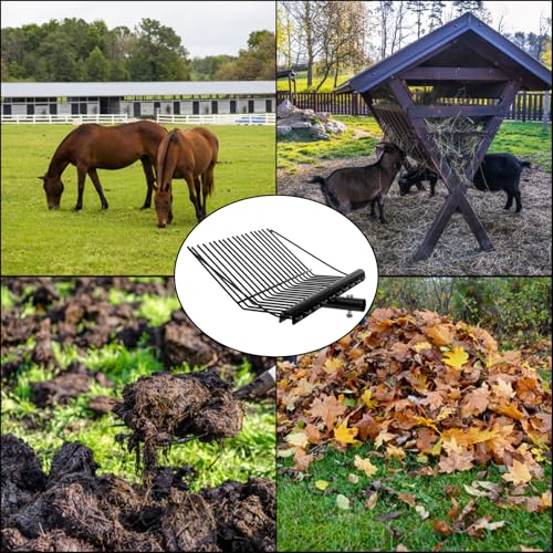 Cididu Pitch Manure Fork Head, Metal Pitch Fork for Garden, Durable Digging Fork Rake Head Replacement with Angled Tines, Stable Pitchforks Scoop for Mulch Horse Stall Picking up Hay Animal