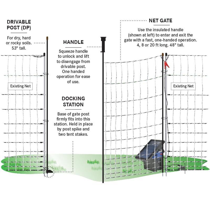 Premier 1 PoultryNet® Electric Net Gate for Chickens – 48" H x 4'L | Black/white net, drivable posts. Open without turning off the energizer. For chickens, ducks & geese. Fits PoultryNet fences.