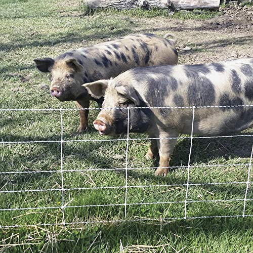 Premier 1 Pig QuikFence® Electric Fence for Pigs – 30"H x 100'L | White/black, single spike, high-visibility posts. 6 horizontal strands. For domestic pigs. Energizer sold separately.