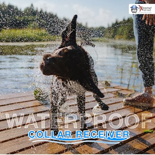 Underground Electric Dog Fence Kit, 1-Dog, 2000 ft | Complete DIY system: digital transmitter, waterproof receiver(s), boundary + twisted wire, training flags, splices, staples - size: 2000 ft