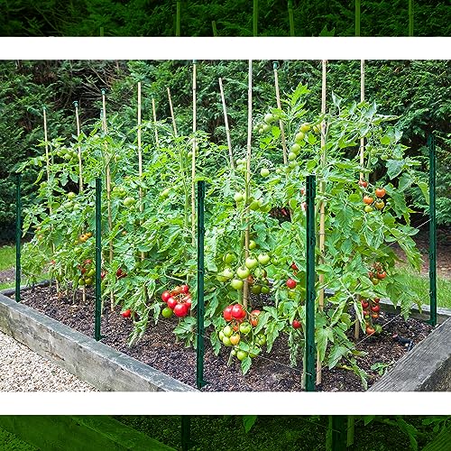 Sintuff 50 Pack Electric Fence Posts, 40 Inch Plastic Step in Heavy Duty Sturdy Fence Posts for Farm Garden Yard Temporary Outdoor Wire Fencing(Green) - color: Green
