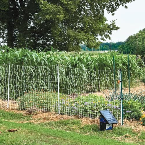 Premier 1 PermaNet® PrimaLite™ Fence – Sheep & Goats – 48"H x 100'L | White/black. Step-in wedge posts for extra stability. For sheep & goats. Keeps out coyotes & dogs. Energizer sold separately. - size: 100 ft