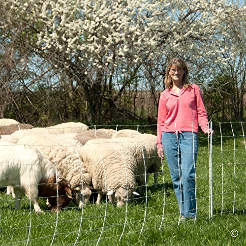 Premier 1 ElectroStop® Double Spike Fence – Sheep & Goats – 42"H x 164'L | White/black. Double spike posts for stability. 10x more conductive. Also for cattle & hogs. Energizer sold separately.