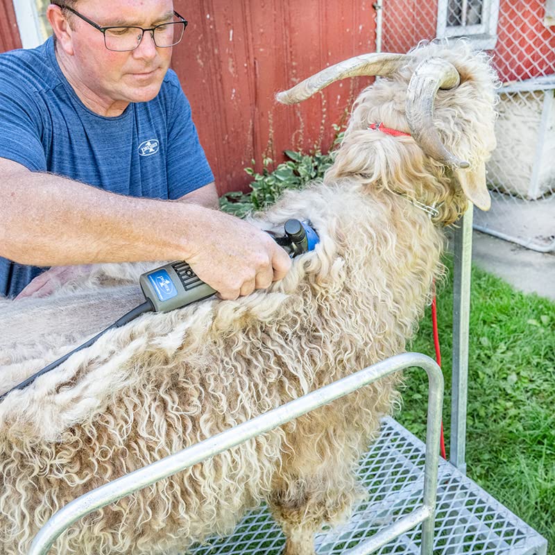 Premier 1 4000s Shearing Package (4000s -13T Comb) | Includes everything to get started with machine shearing. Removes wool for sale or show ring preparation. 13T comb included. - style: 4000s (13T Comb)