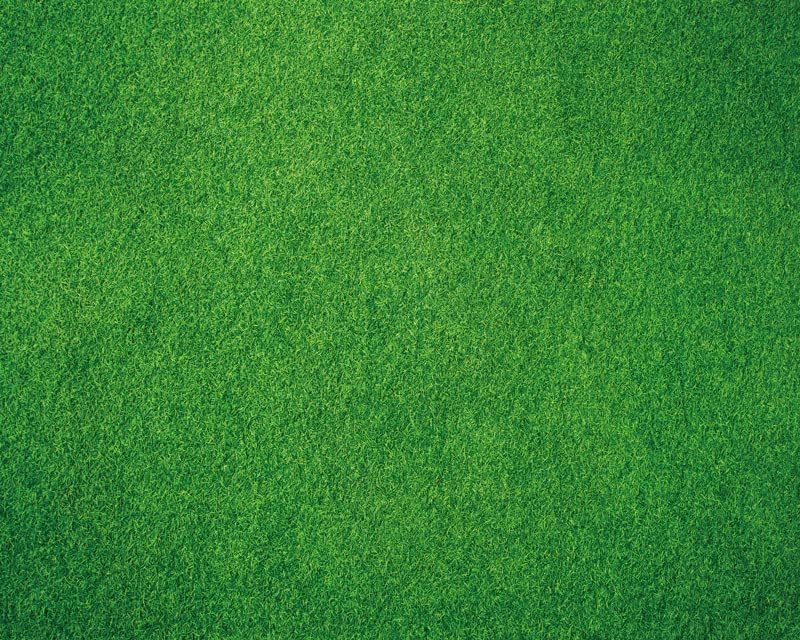 Kate Green Grass Rubber Photography Floor Mat 5x4ft | Grassland Floor Backdrop Newborn Photography Props for Professional Photo Shoot Studio - color: Green Grass, size: 5x4ft