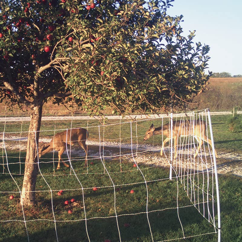 Premier 1 Deer QuikFence® Electric Fence – Deer Protection – 60"H x 100'L | White/black, double spike. Semi-permanent deer fence. Protects gardens, orchards & wind breaks. Energizer sold separately.