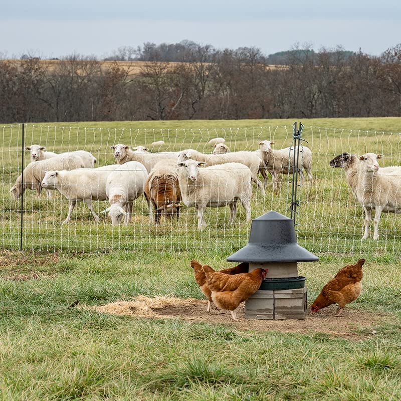 Premier 1 PoultryNet® PrimaPosts™ Fence – Chickens – 48"H x 100'L | Blue/white, single spike. Rigid PrimaPosts™, extra strength. For chickens, ducks & geese. Energizer sold separately. - color: Single Spike, Blue/White
