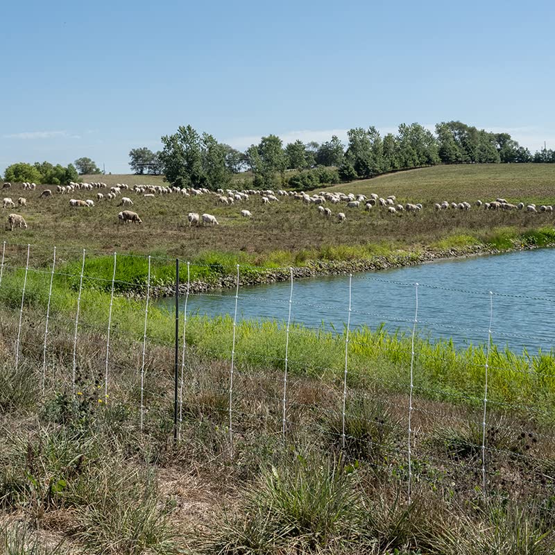 Premier 1 ElectroNet® PrimaPosts™ Fence – Sheep & Goats – 35"H x 164'L | Blue/white. Rigid PrimaPosts™ for extra strength. For sheep & goats. Keeps out coyotes & dogs. Energizer sold separately.