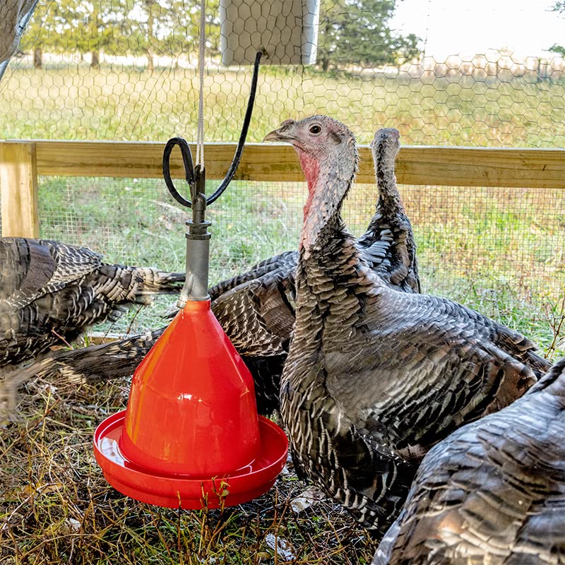 Premier 1 Suspended Dome Drinker for Chickens, Ducks, Geese & Turkeys | Gravity flow design. Hang in portable chicken tractors or coops. For pasture broilers & all flock members.