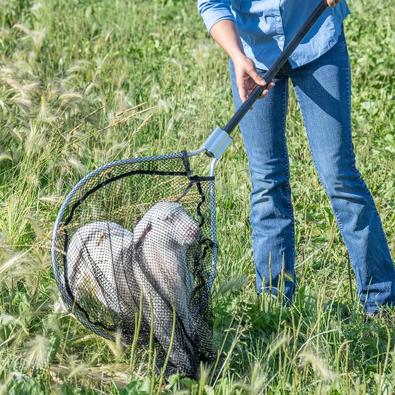 Premier 1 TrapNet with Telescoping Handle (32" - 57") | Bantam-tight mesh is gentle on feathers. Catches hard-to-catch birds. Twistlock extension adjusts 32" to 57" in seconds.