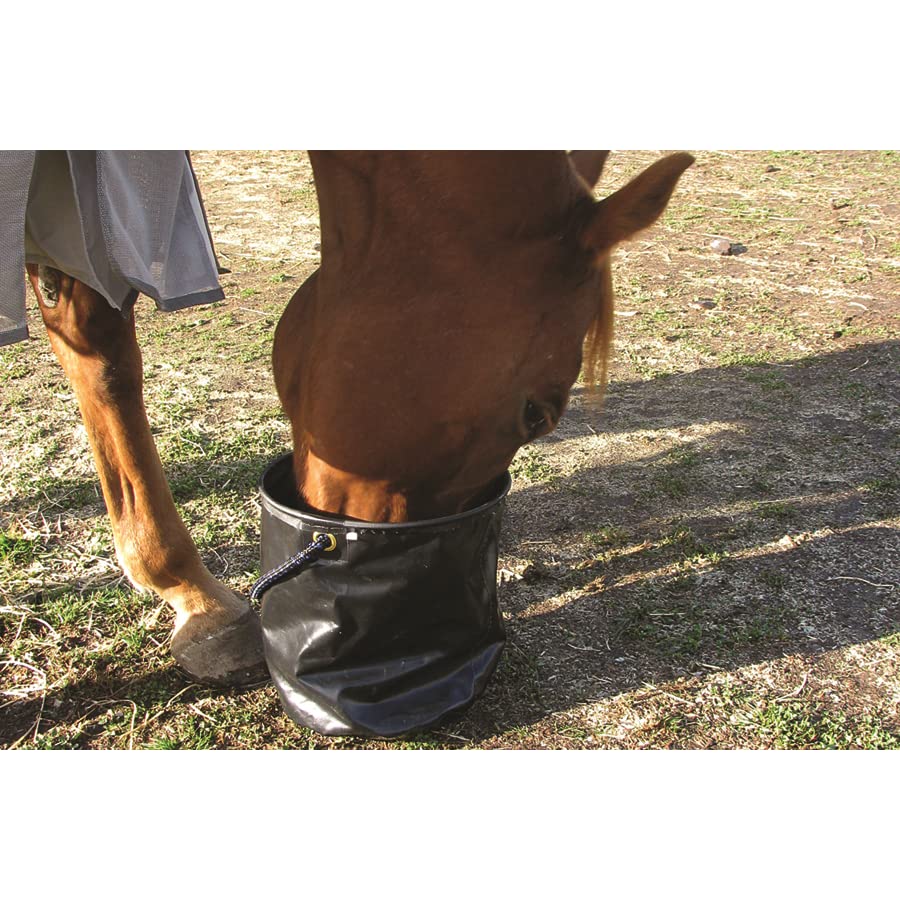 Cashel Collapsible Water Pail Large