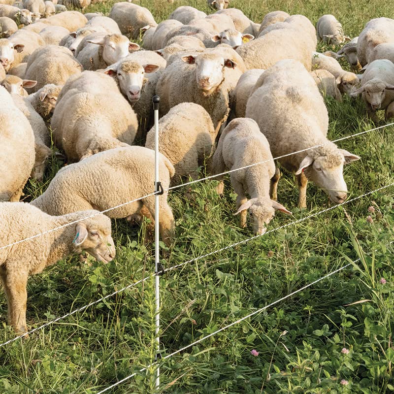 Premier 1 Step-in FiberRod Electric Fence Posts - 5 Pack (48" Tall) | Lightweight & stiff fiberglass. Ideal for rotational grazing. Use with SnapOn Harp Clips to hold fence conductors. - style: 48" Tall