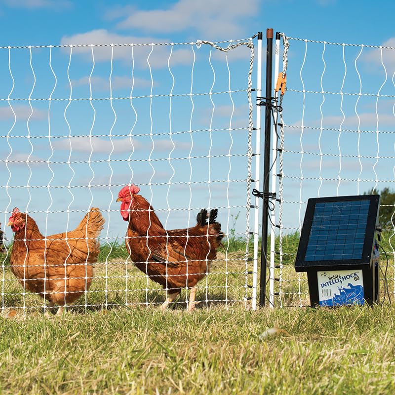 Premier 1 PoultryNet® Plus, Starter Kit for Chickens – 42"H x 100'L | White/black. Includes solar energizer, support posts & tester. Double spike, posts every 6.8 ft to reduce sag. For chickens.